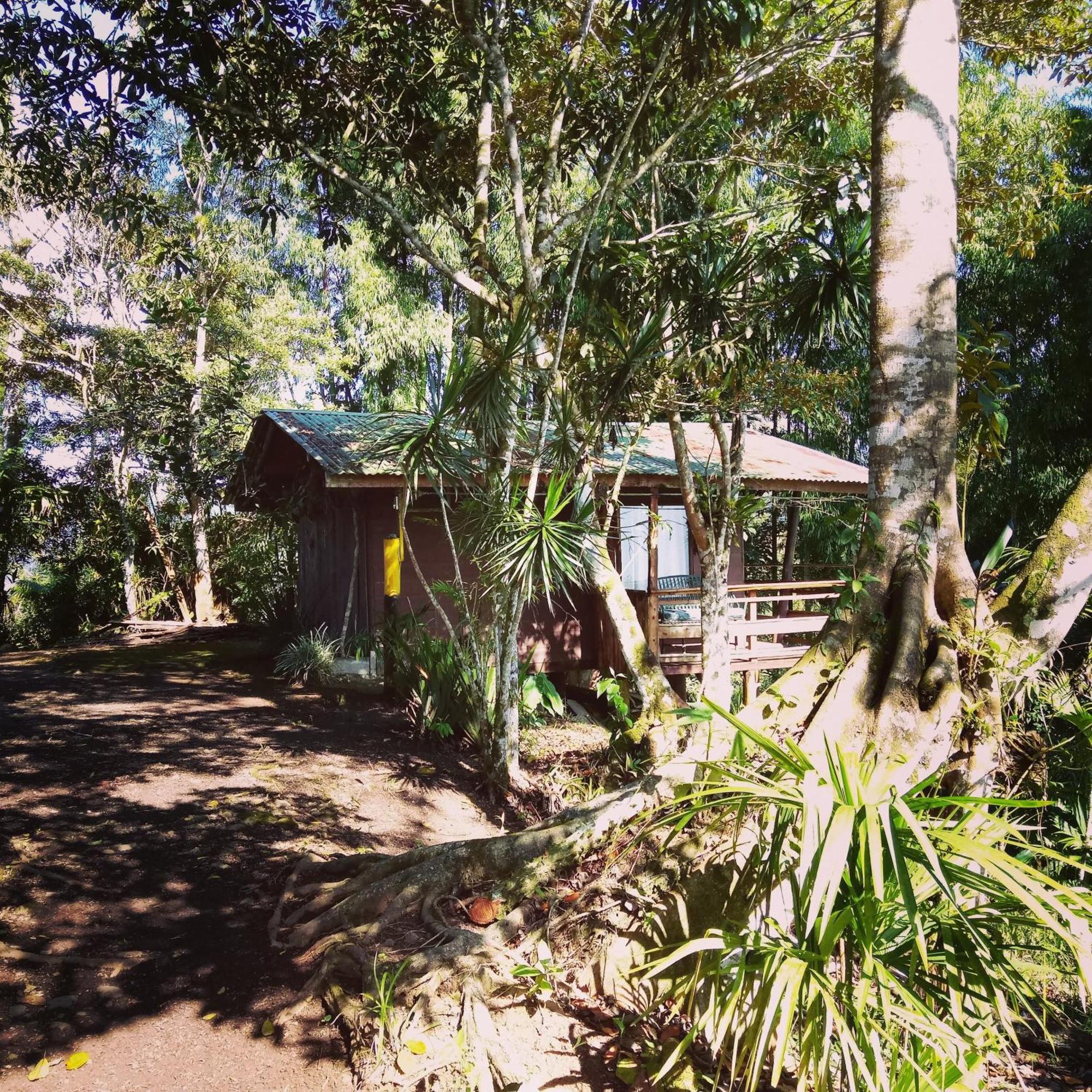 Pochotel Turrialba Cameră foto